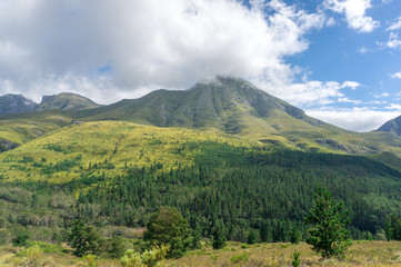 Fototapeta premium Summer mountain landscape panorama with forest covered mountain and green grass