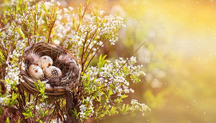 Congratulations on Easter. Bird's nest on a flowering tree. Happy easter!