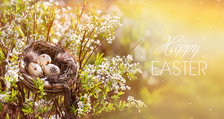 Congratulations on Easter. Bird's nest on a flowering tree. Happy easter!