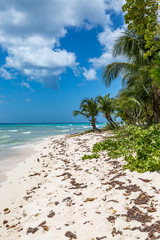 A Barbados Beach View