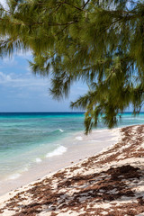 A Barbados Beach View