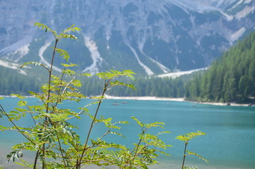 Pragser Wildsee