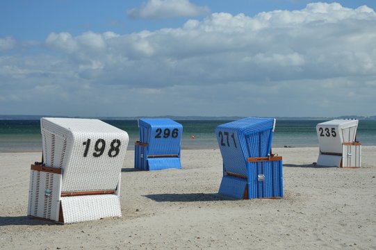 Strandk&ouml;rbe 