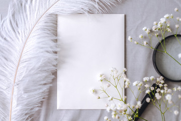 Spring composition, white empty blank paper, gypsophila flowers, magnifying glass and white feather...