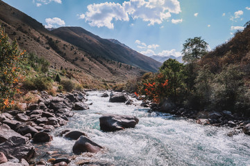 Mountain river stream