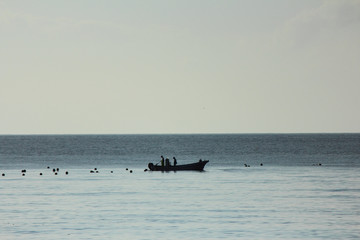 Naklejka premium 北海道 風景