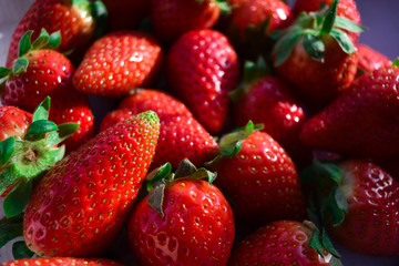 Fresas rojas de varios tamaños vistas desde cerca
