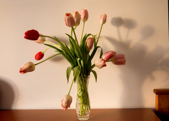 bouquet of spring tulips in a vase