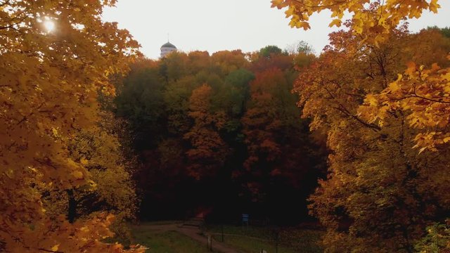autumn and yellow maple leaves in the park in Kolomenskoye park in autumn season aerial view, Moscow, Russia.