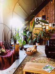 Bohemian eclectic interior with lots of plants.