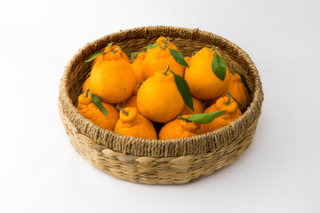 Many orange Hallabongs in a basket. (Korea, Jeju Island specialties)