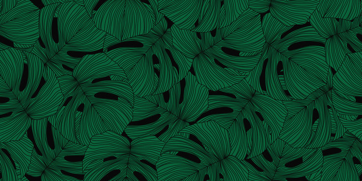 Green monstera line leaves seamless pattern. Modern exotic tropical backdrop. © smth.design