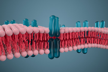 Cell membrane and biology, biological concept, 3d rendering.