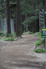 Manali Nature Photography 