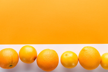 oranges on color paper background