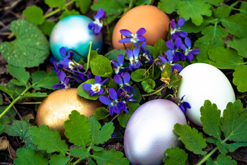 colorful Easter eggs hidden in the grass with flowers