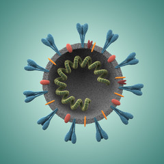 Coronavirus, Covid-19, Structure