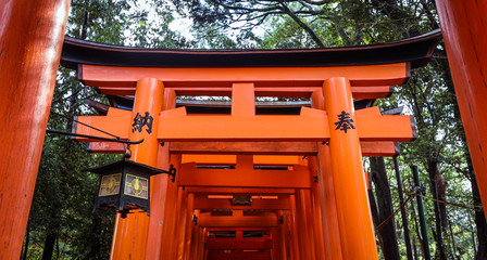 Great Torii of Fushimi Inari Shrine, Kyoto, Japan