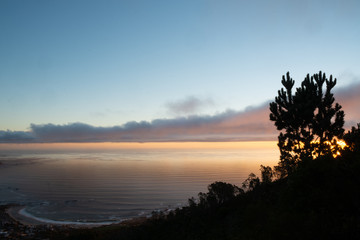 clouds, sea and a tree