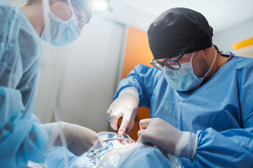 Doctor with surgical tools in hands making surgery in operation room. Health care or veterinary care concept.