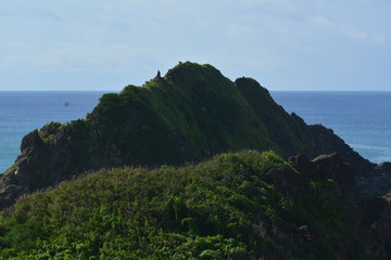 Fototapeta premium f noronha