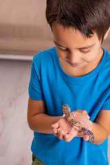 A young smiling boy holds a lizard in his hand at home.    The concept of a happy childhood. ...
