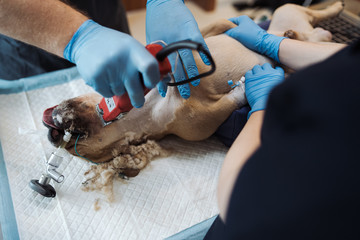 Doctor washing his hands before surgery. Hygiene concept.