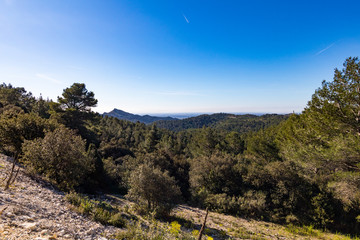 Paysage du Plateau de la Caume, dans le parc naturel régional des Alpilles, à...