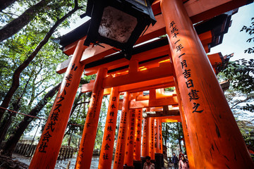 Great Torii of Fushimi Inari Shrine, Kyoto, Japan