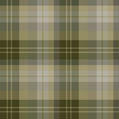 Seamless pattern in exquisite swamp green and gray colors for plaid, fabric, textile, clothes, tablecloth and other things. Vector image.