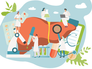 Liver healthcare treatment concept, human organ medicine, tiny people doctor and nurse, vector illustration. Men and women cartoon characters in flat style, medical health insurance and lab analysis