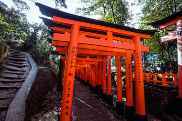 Great  Red Torii of Fushimi Inari Shrine, Kyoto, Japan