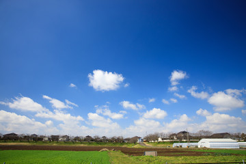 青空