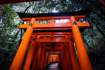 Great  Red Torii of Fushimi Inari Shrine, Kyoto, Japan