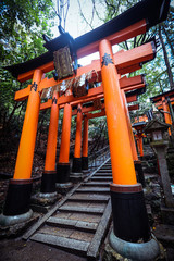 Fototapeta na wymiar Wooden Torii in Fushimi Inari Shrine, Kyoto, Japan