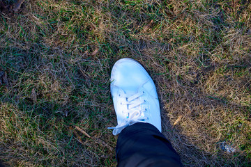 shoes on green grass