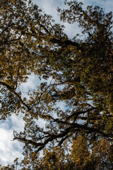 Fototapeta premium Monro beach walk