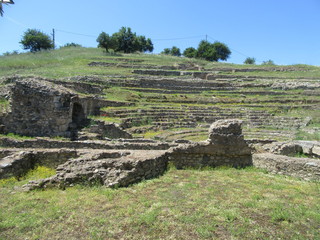 Naklejka premium scolacium