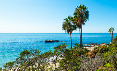 Palm trees by the sea in Laguna Beach shore on a sunny day