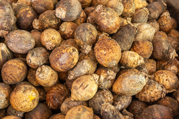 Dry raw areca nut or betel nut