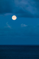 A vertical portrait format image of a perigee full super moon rising over the ocean in the evening against a dark blue sky after sunset during blue hour. Copy space.