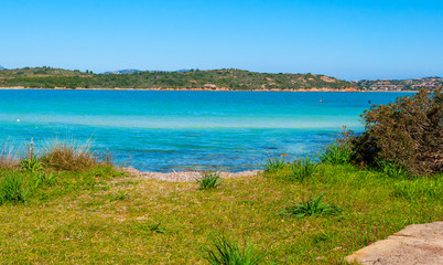 Fototapeta na wymiar Turquoise sea and green grass in Costa Smeralda in springtime