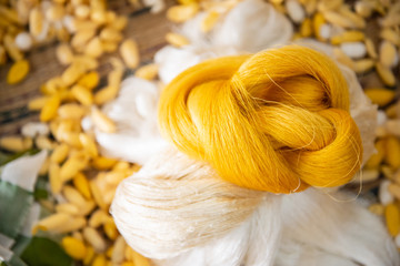 Silk threads and cocoons are raw materials for weaving silk.