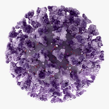 Coronavirus Covid19 Sars CoV2  Microscopic view including the Spike S-protein, HE-protein, M-protein and E-protein
