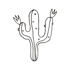 The picture of the cactus. Circuit. Vector illustration.
