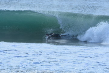 Obraz premium f noronha