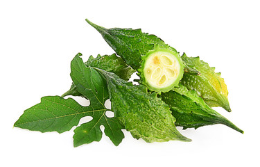 Bitter gourd