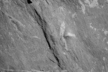 Ein Fels als Hintergrund