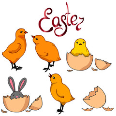 set of elements for design in bright colors, Easter holiday, yellow chicks, spring flowers and easter eggs, isolate on a white background