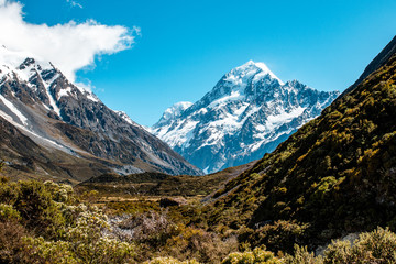 Fototapeta premium Mount Cook
